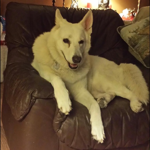 Meet your Posher, Michelle - Picture 7 of 8